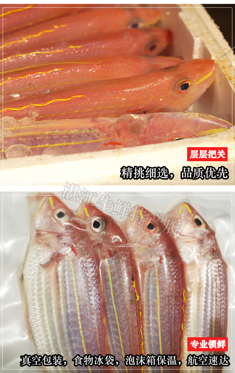 顺丰速运 湛江新鲜金线鱼海鲜水产海钓海鱼冷冻红杉鱼鲜活红三鱼金丝