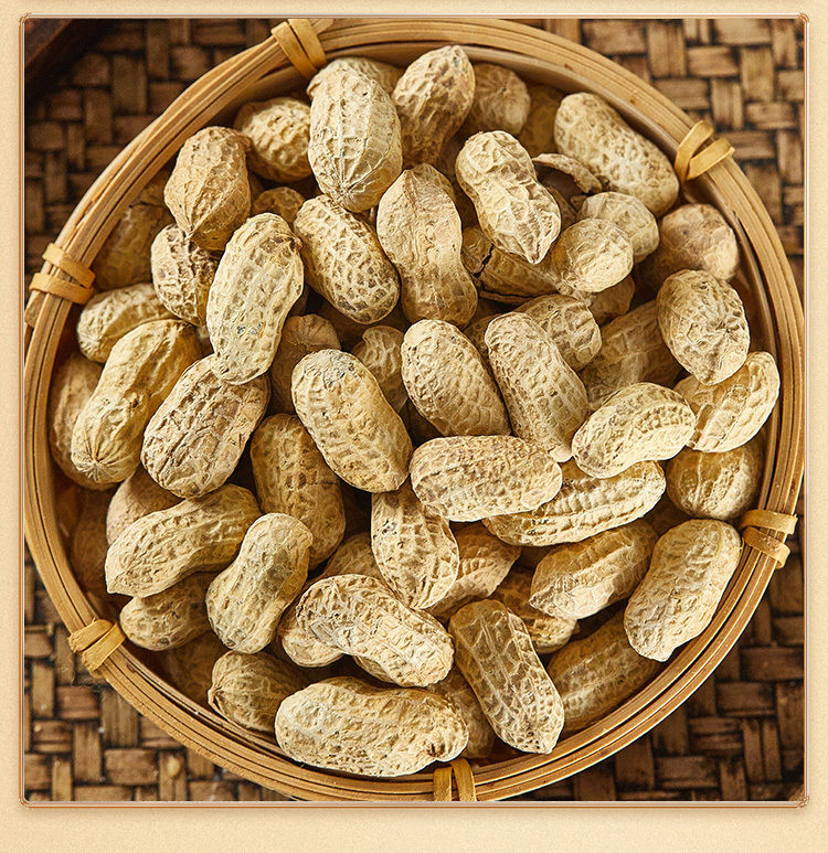 【电视同款】黑山吊炉花生辽宁省黑山县蒜香味炒花生带壳欢脆食品 蒜