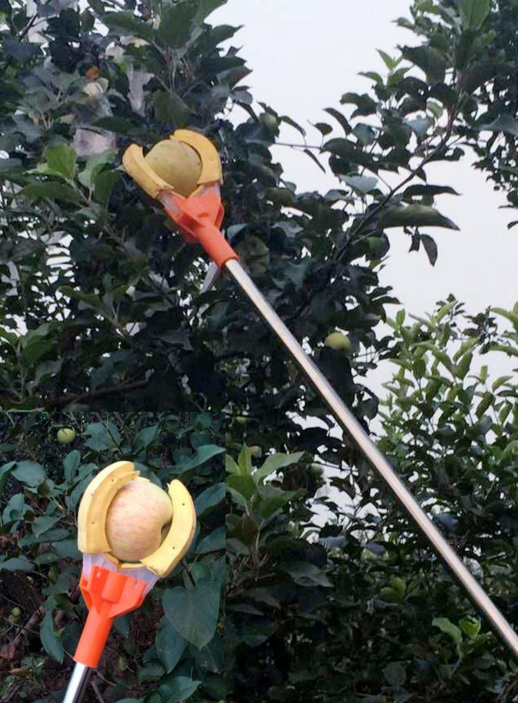 高空摘果器摘果杆摘果爪摘果剪摘橘子琵琶柚子柿子器高枝摘果器驰爵15