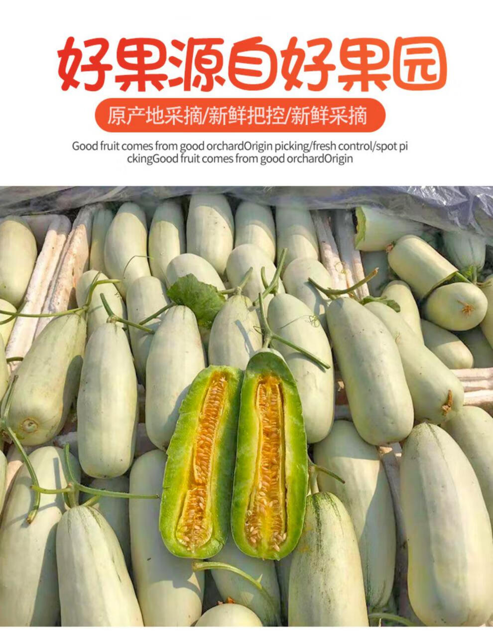 山东羊角蜜甜瓜5斤水果新鲜当季整箱蜜瓜羊角脆 (单