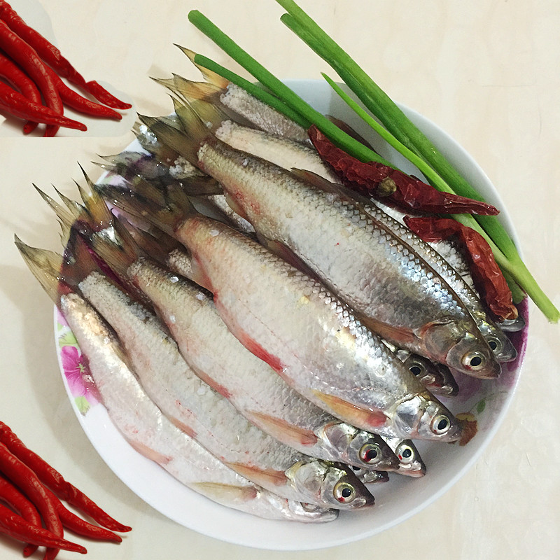 【顺丰现货】大菜园 小白条鱼 刁子鱼 新鲜刁子鱼 餐子鱼 小花餐 小