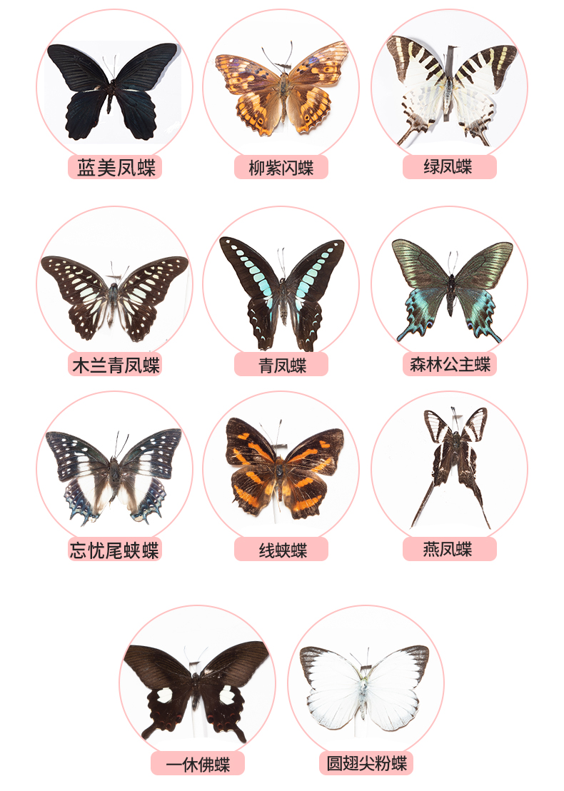 适用场景:客厅类别:其他材质:塑料风格:复古风寓意:平安送礼对象:客户