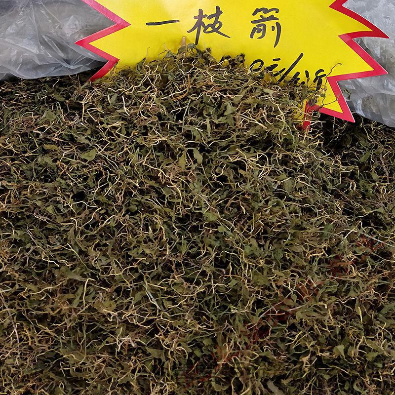 云南一枝箭中药材瓶尔小草一支箭干货青藤蛇咬子 一支箭100g【图片