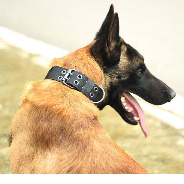 御弗战术狗项圈大型犬德牧狗狗项圈颈圈中型犬拉布拉多狗圈脖圈牵引绳