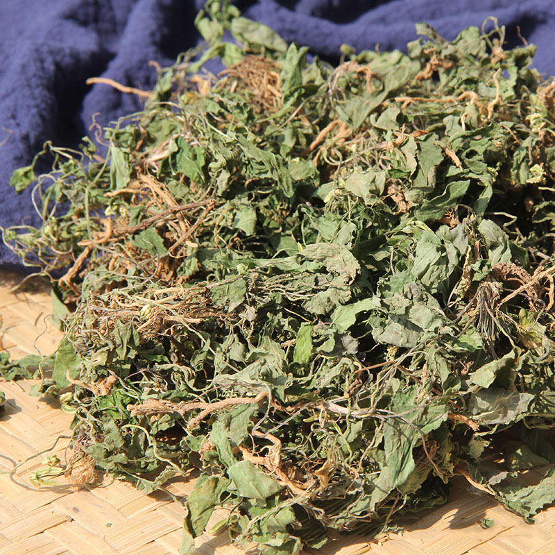 北京同仁堂野生紫花地丁中药材500g特级精选新鲜干货无熏染地丁草地丁