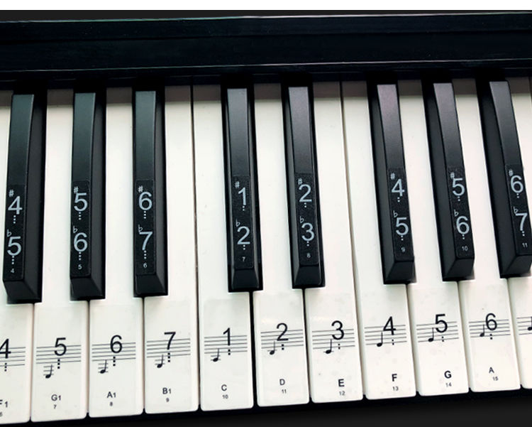 杉贝shanbei钢琴贴纸88键简谱五线谱贴电子琴贴纸按键贴电子琴键盘贴