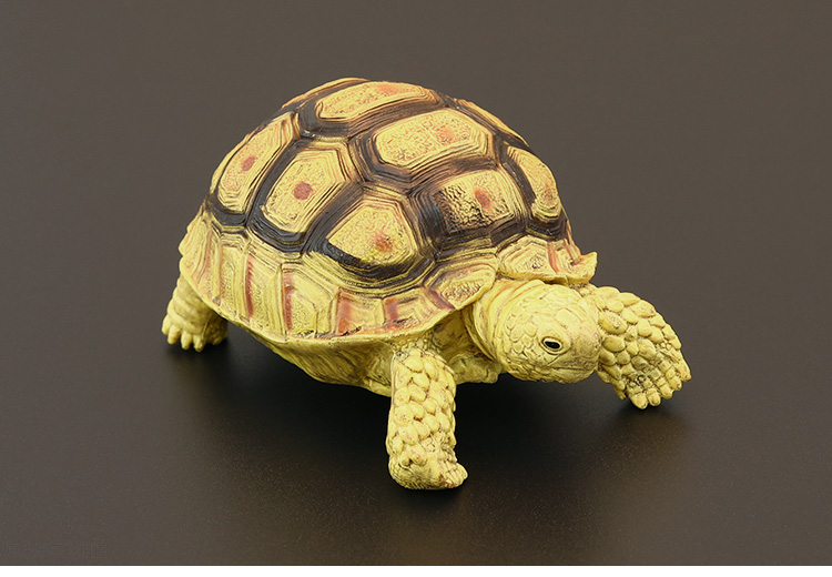 知鹿实心儿童仿真动物玩具野生动物模型陆龟象龟辐射乌龟认知礼品摆件