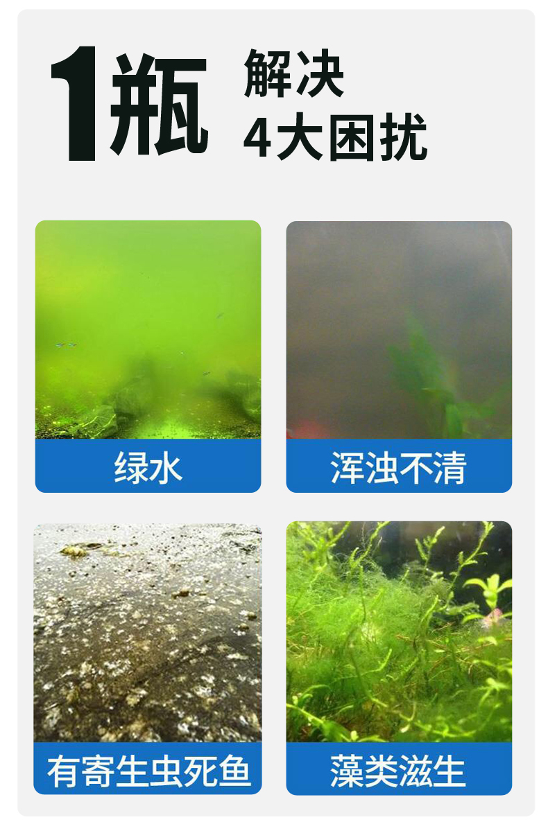 鱼缸青苔和绿藻区别图图片