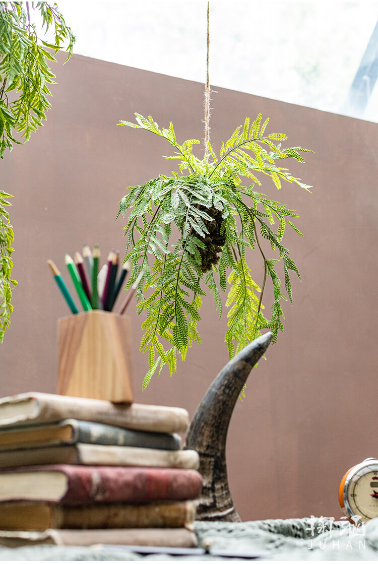 植物吊球吊饰空中垂吊挂饰绿植花艺壁挂橱窗装饰森系d款植物高57cm