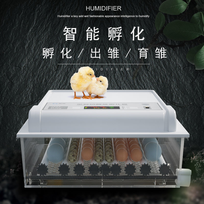 京选推荐小型孵化机全自动家用型孵化器鸡蛋孵化设备孵化箱48枚双电
