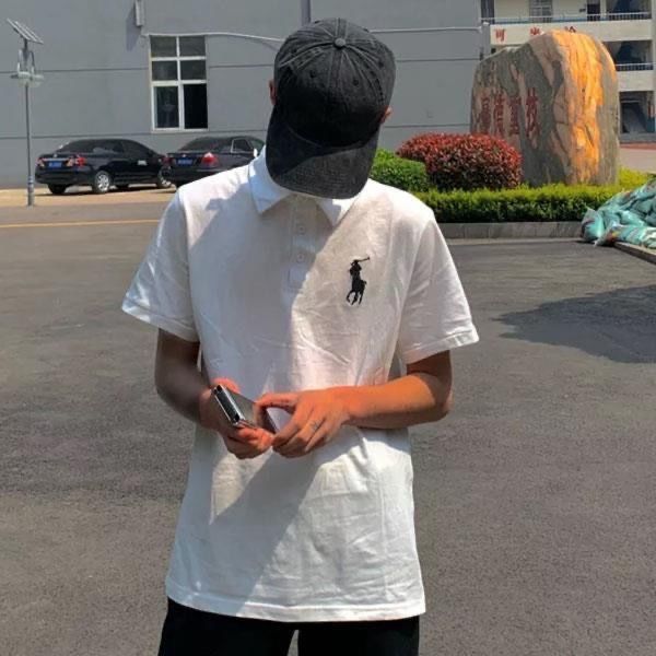 斯立朴夏季快手网红新款战马polo衫半袖精神小伙同款潮牌学生短袖男