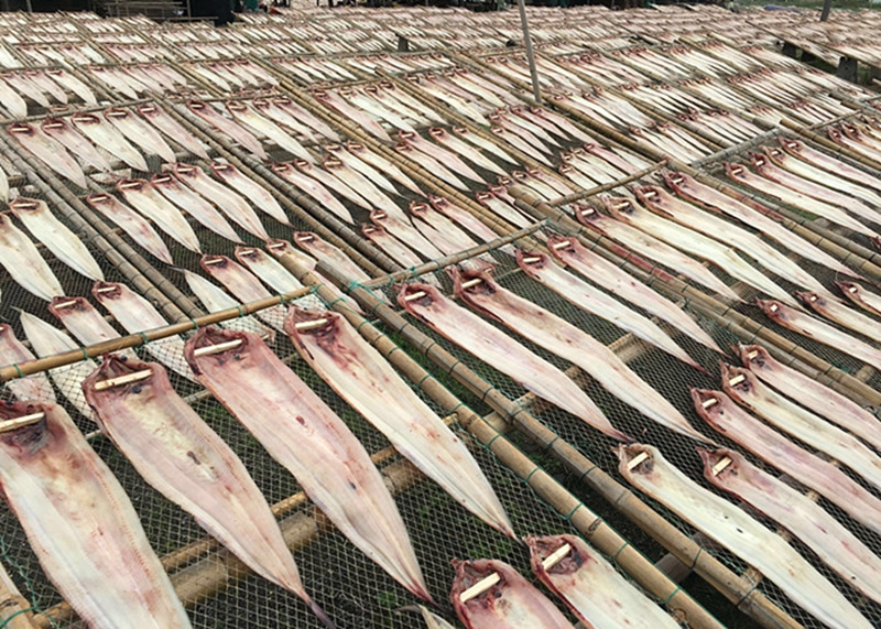 海鳗鱼干鳗鱼干风鳗鱼干鳗鳞鱼干咸鱼干海鲜干货大菜园15kg3斤