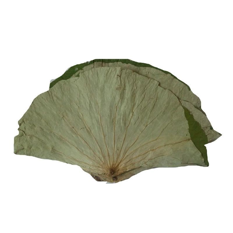 无硫荷叶整荷叶微山湖整张荷叶干何叶泡茶莲藕叶莲叶250g500g 1000克