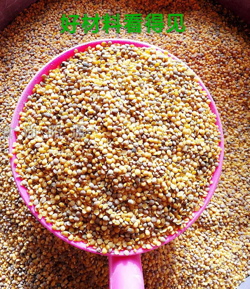 昭通金豌豆粉原料舌尖上的中国小豌豆鸡豆小扁豆农家自种5斤装