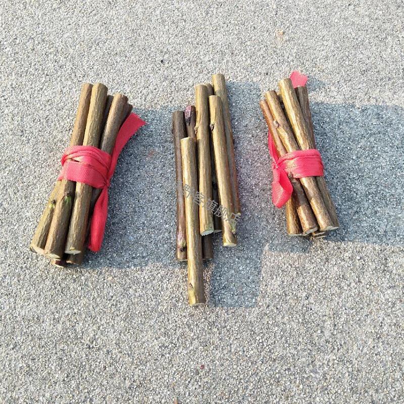 随身携带桃木枝婴儿夜哭压惊孕妇防惊吓野生东南桃树枝7根7根捆2捆