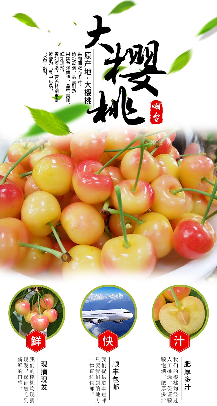 花月浓 【顺丰空运】现摘黄樱桃新鲜黄金车厘子山东黄颜色大樱桃黄蜜