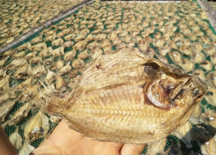 大号大地鱼干北海特产海鲜干货正宗是铁脯鱼比目鱼干煲汤调料滋补中号
