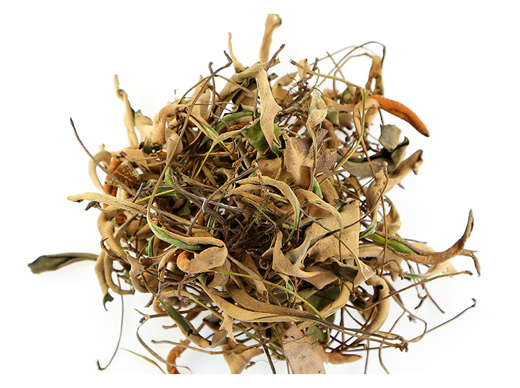 石韦草 中药材500g克 石苇小叶 石伟 石韦草药【图片 价格 品牌 报价