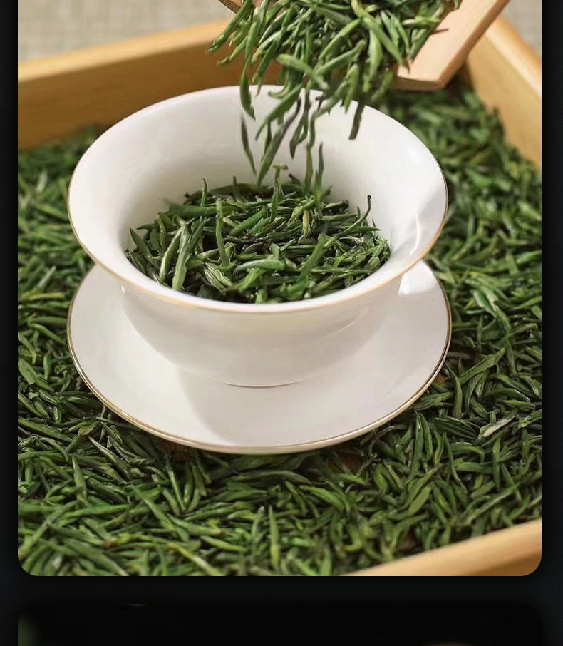 2022新茶兰韵雀舌绿茶颗颗芽头嫩芽明前头采竹叶茶正