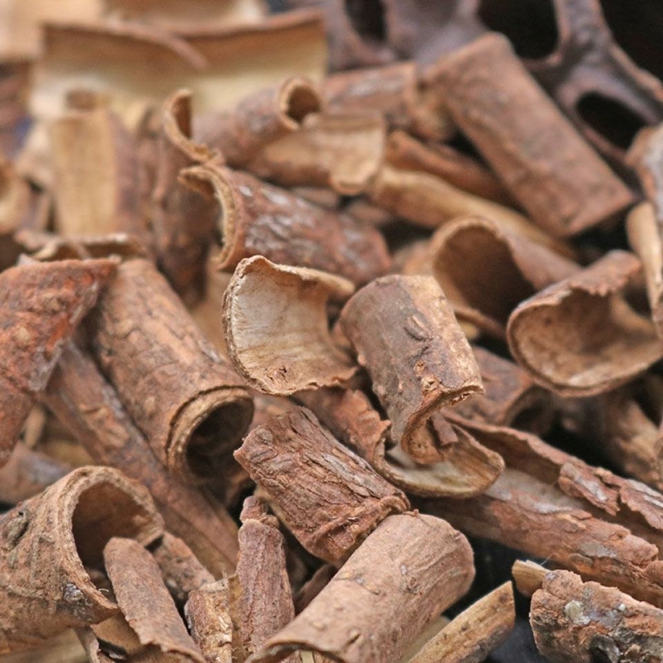 北京同仁堂原料中药材南五加皮 五加根皮 五加皮茶 中草药内廷上用