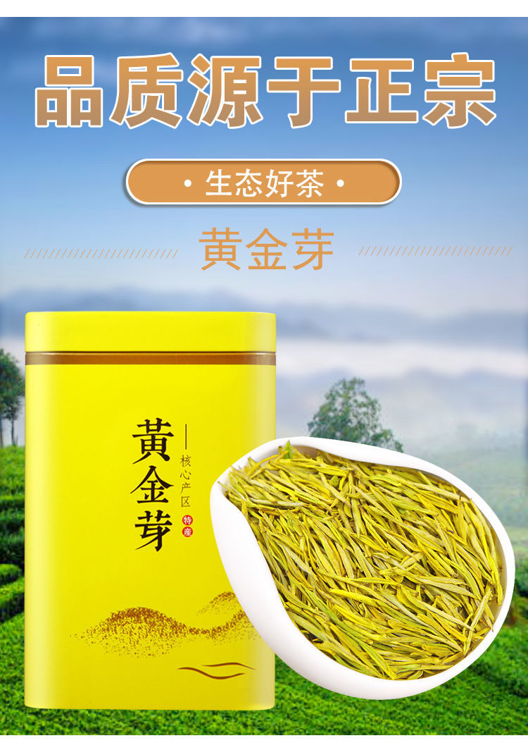 新茶好茶正宗浙江黄金茶叶绿茶浓香多规格 精品罐装500克【图片 价格