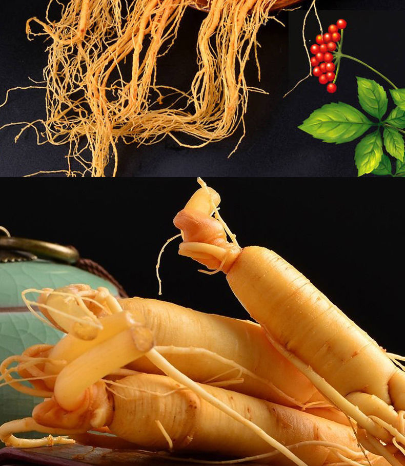 正宗长白山人参新鲜湿参保鲜参东北特产人参酒滋补药材泡酒参益补萃