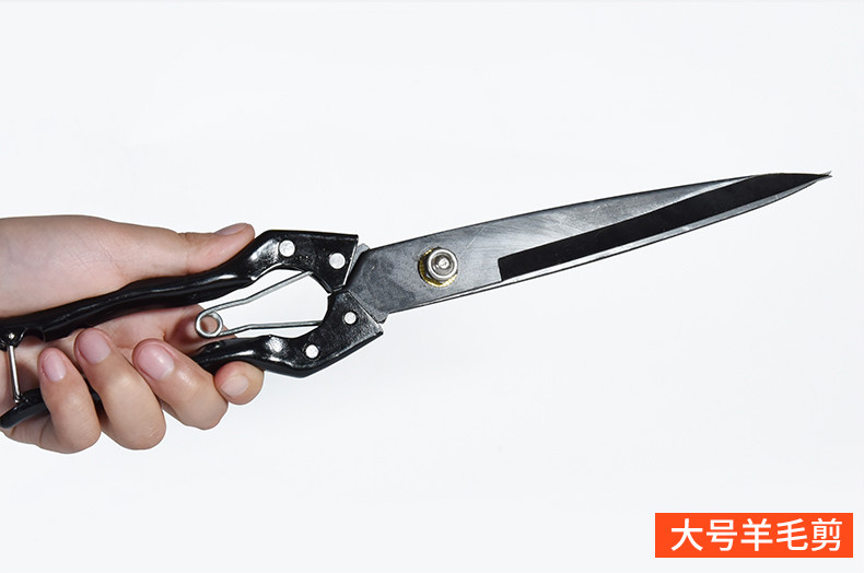 羊毛剪手动剃羊毛家用手工的剪子剪狗毛兔毛牛毛修毛 款小号羊毛剪