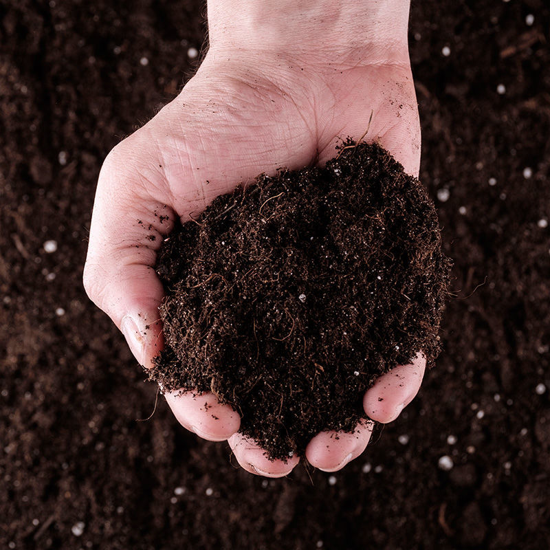 泥土种菜通用花土疏松透气营养土种菜专用土养花土家用栽花土壤营养土