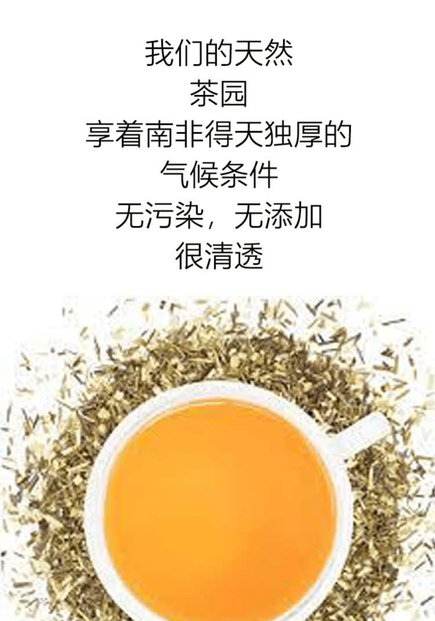 线叶金雀花无咖啡因rooibos散装茶 100g 线叶金雀花 未发酵(绿茶)