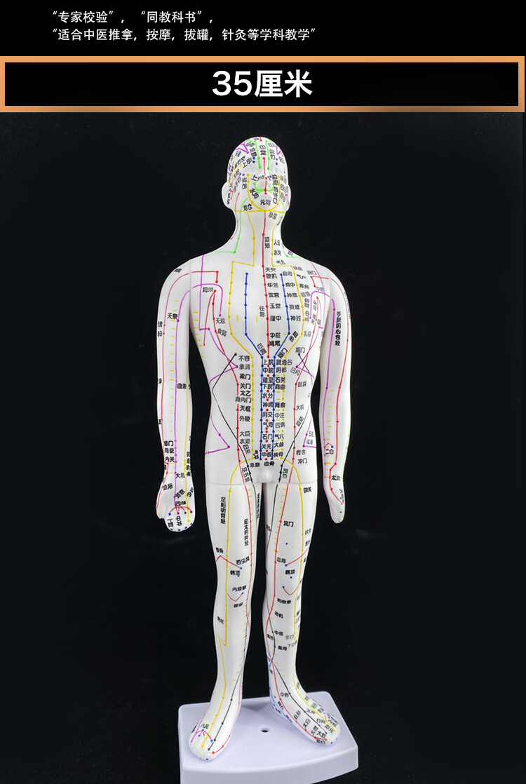 便携款针灸穴位人体模型人十二经络图小皮人可扎针85cm铜人 铜色软质