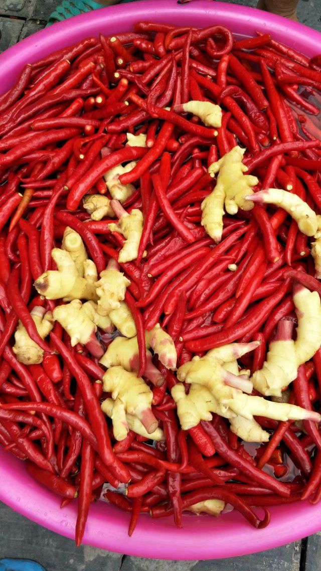 贵州黔东南特产农家妈妈自做手工酸辣椒酸广椒泛广椒糟辣 2斤【图片