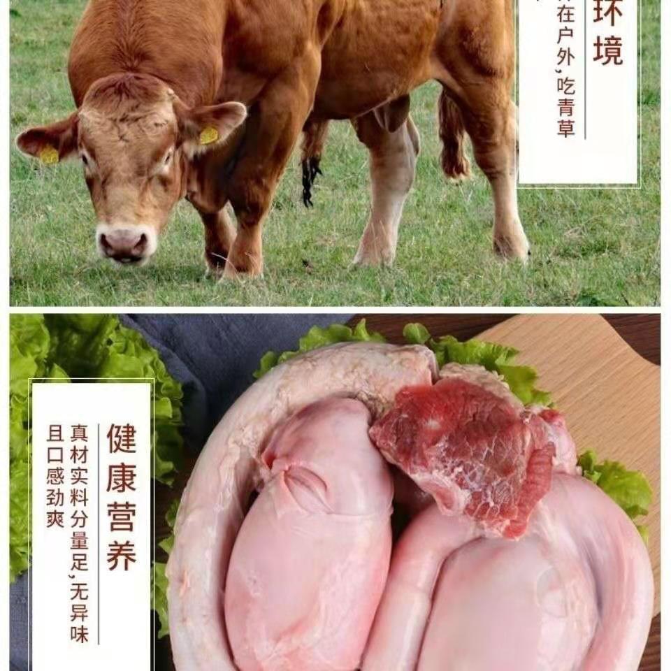新鲜黄牛鞭牛宝冷冻现杀黄牛鞭牛蛋滋补牛三宝整套鲜冻牛宝牛睾丸斓维