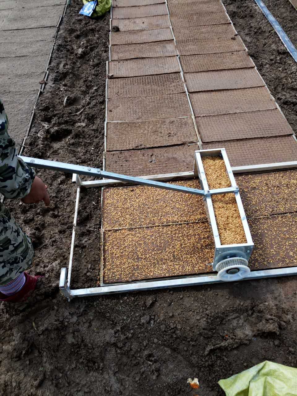 水稻播种机插秧机育秧器覆土秧田器蔬菜育苗机水田育秧机秧盘大棚轨道