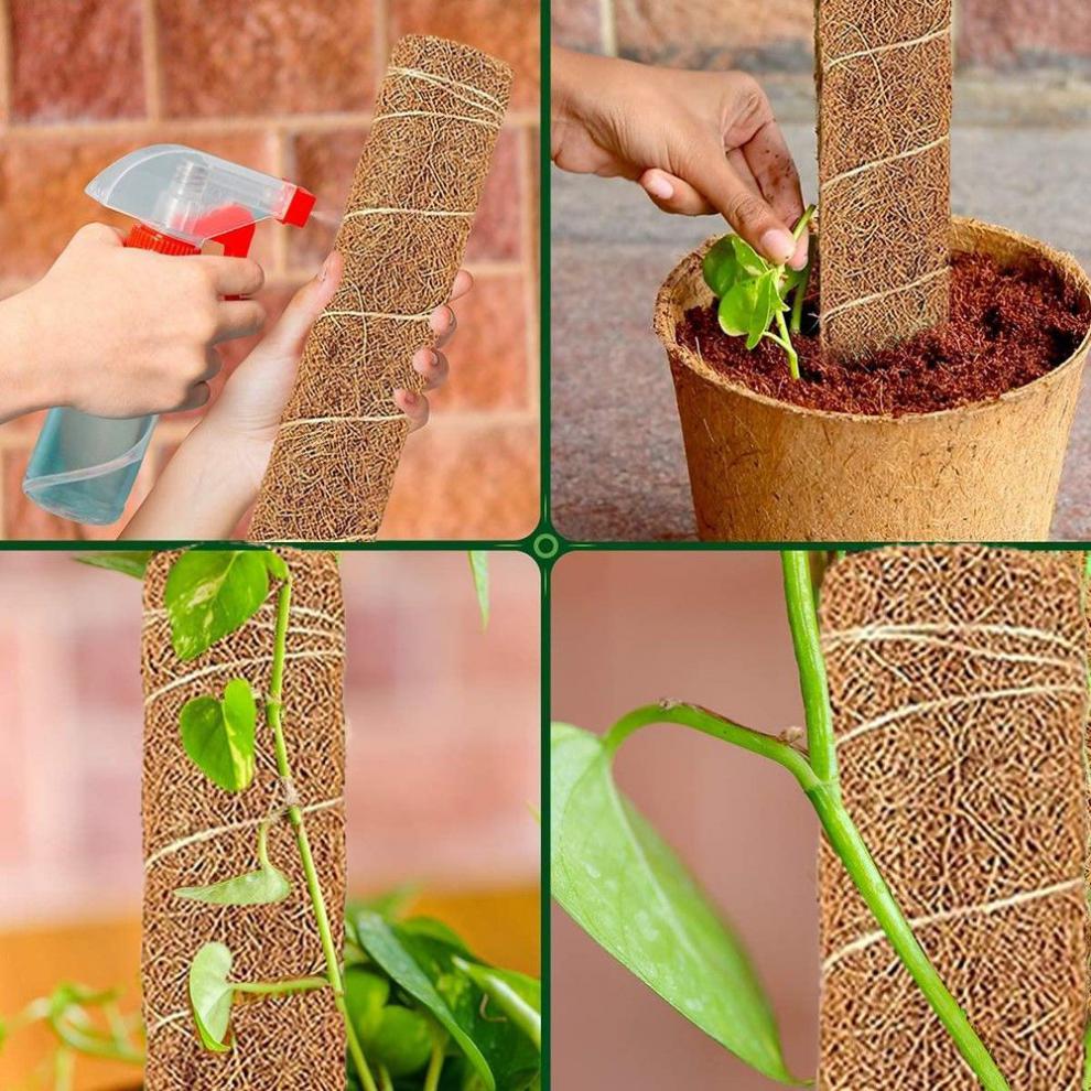 定制绿萝爬架柱爬藤植物支撑绿植盆栽大型支撑杆纯手工隆鼎单支总长