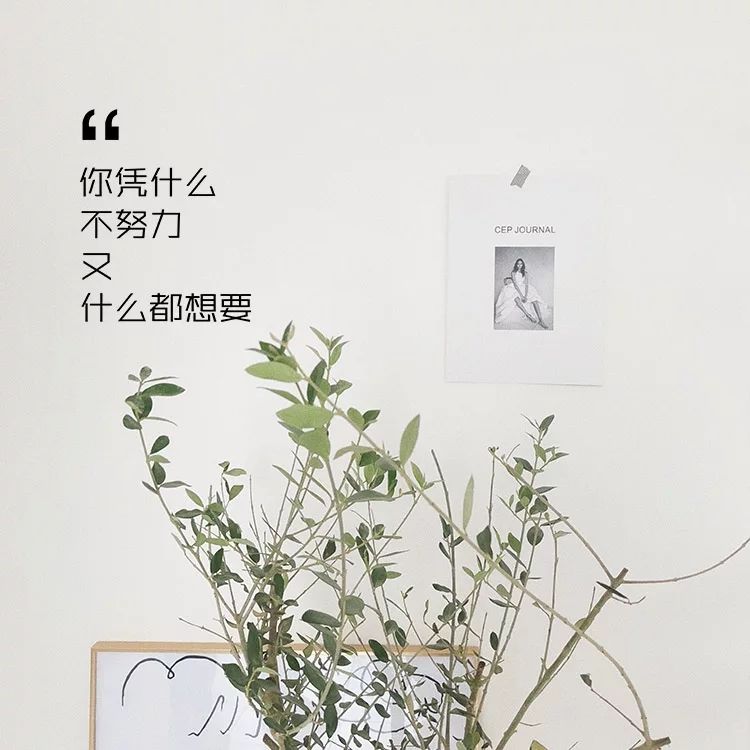 迎新必备励志ins风文字墙贴你凭什么不努力办公室卧室教室寝室墙鼓励