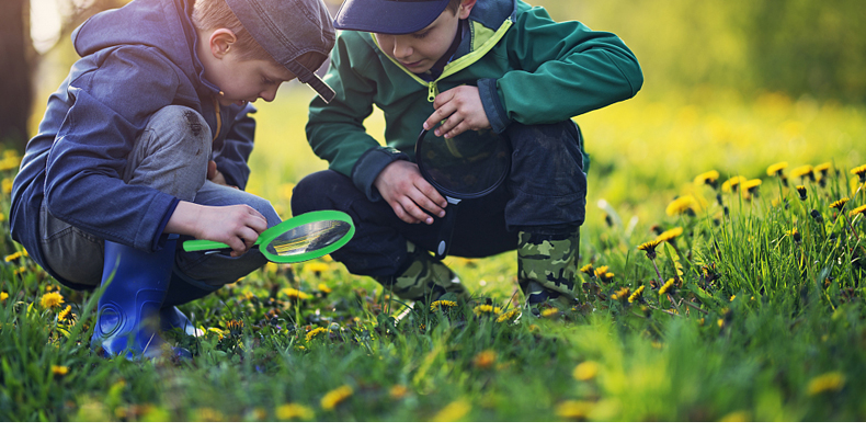 虫收集器儿童昆虫观察盒收集器带放大镜捕虫网捉蜻蜓蝴蝶户外探索工具