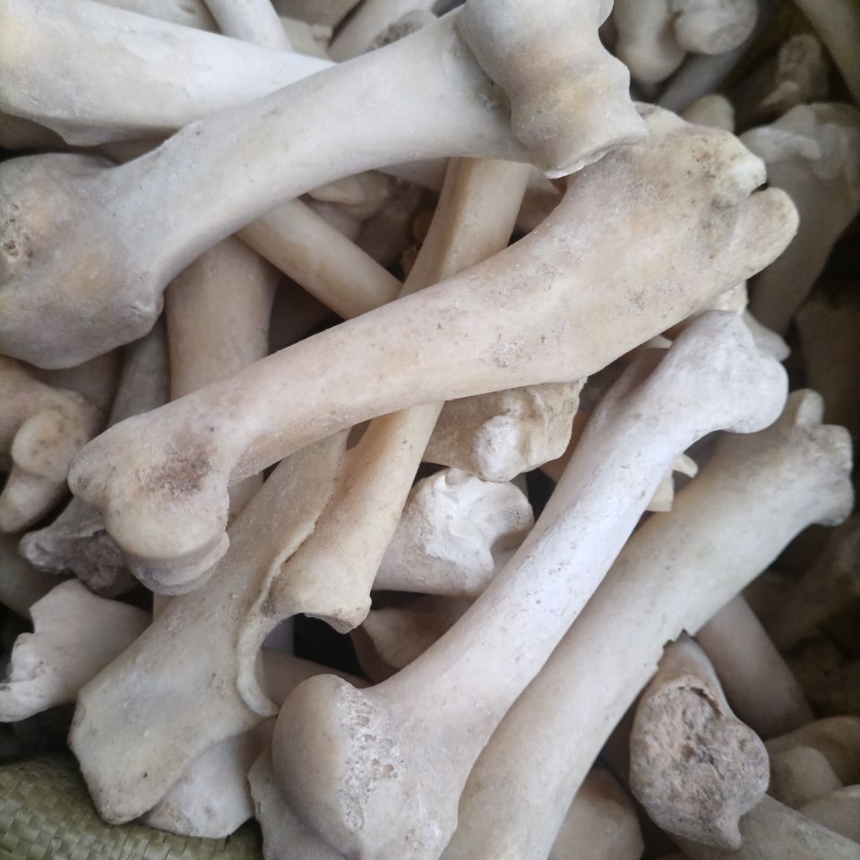 北京同仁堂原料药材 羊骨头粉 山羊骨 羊骨头羊骨粉 羊骨100克羊骨个