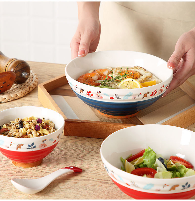 日式拉面碗大号汤碗斗笠碗陶瓷大碗泡面碗吃面条碗家用防烫吃饭碗混色