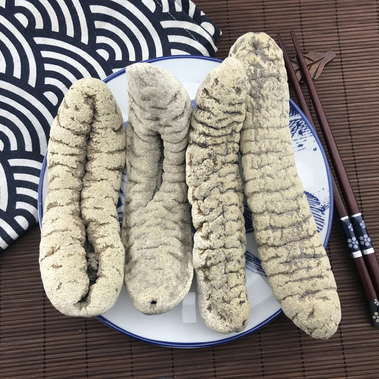 猪婆参 500g 非大连即食辽参海参干货猪婆参淡干海鲜酒店用料