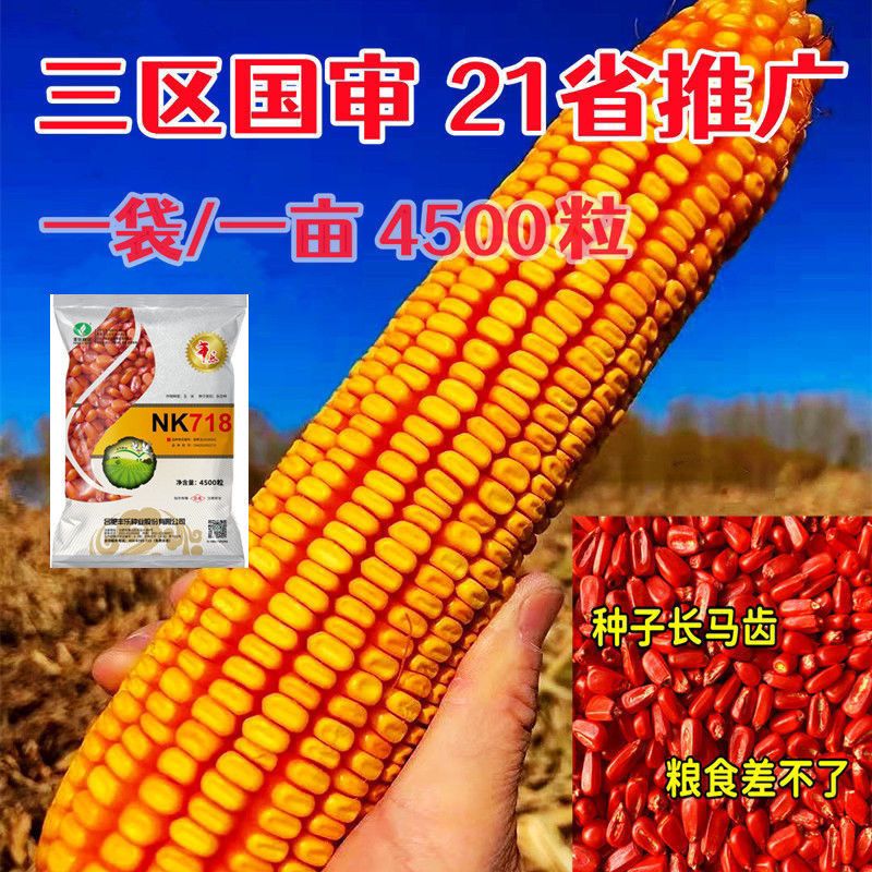 cd9355397cb9f647.jpg