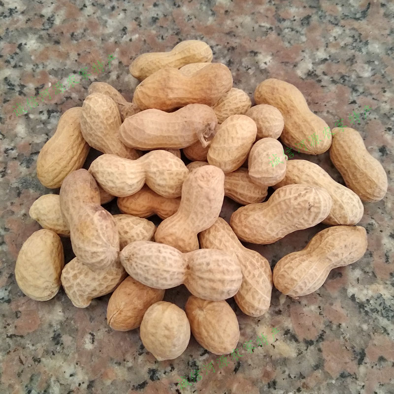 fghgf 花生皇 白肉咸干花生2斤水煮日晒干广东咸脆蒜香花生 咸脆花生