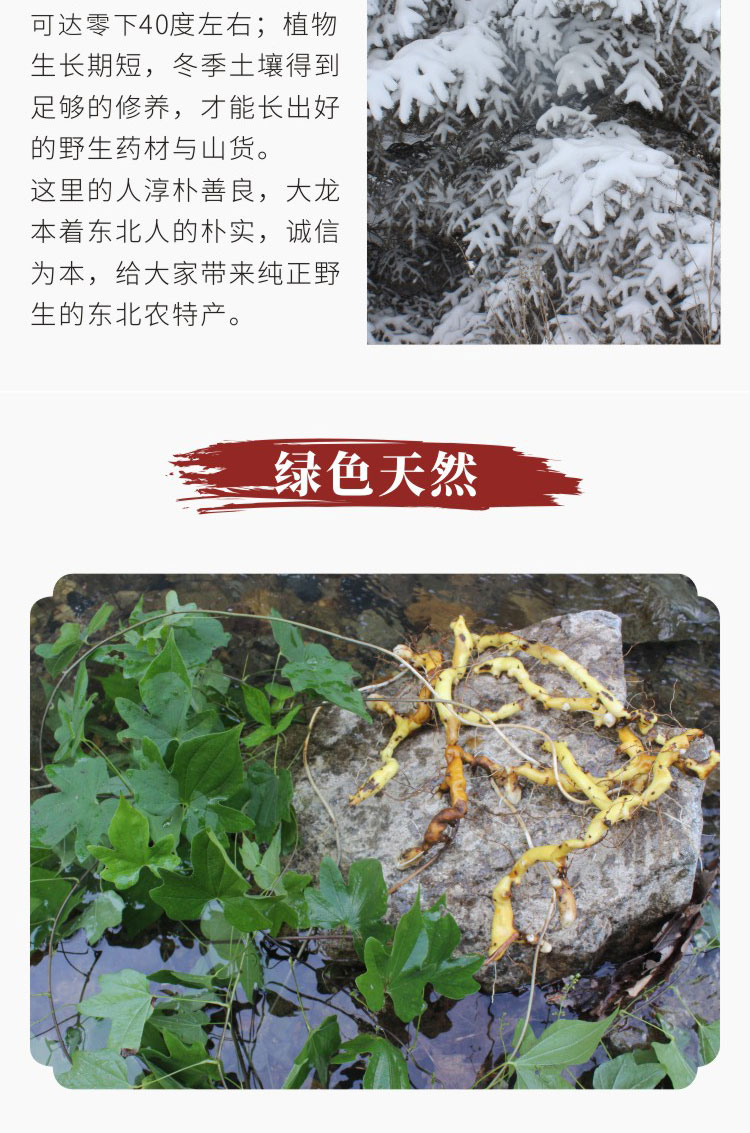 东北野生穿山龙穿地龙中药材草药野生500g串地龙骨泡酒天然无硫 酒