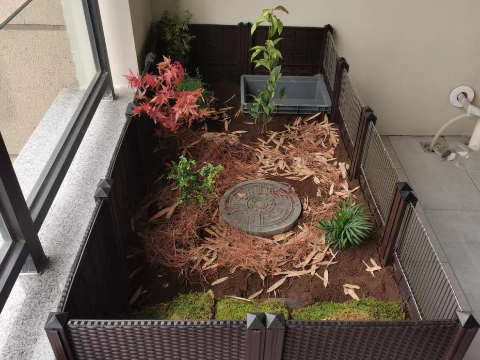 黄缘龟箱 黄缘龟饲养箱安缘台缘闭壳半水龟生态造景植物环境养殖乌龟