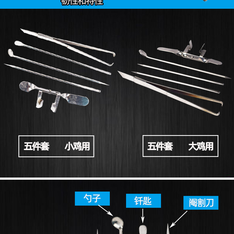 不锈钢全套阉鸡工具大鸡小鸡快速新型阉鸡器公鸡阉割器刀 小鸡五件套