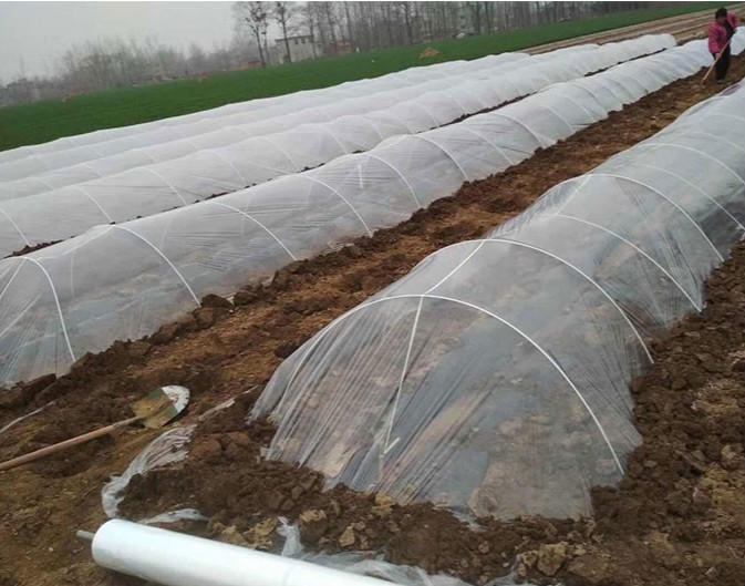 10根装玻璃纤维小拱棚保温暖棚花棚遮阳虫多肉支架骨架拱杆竿7毫米25