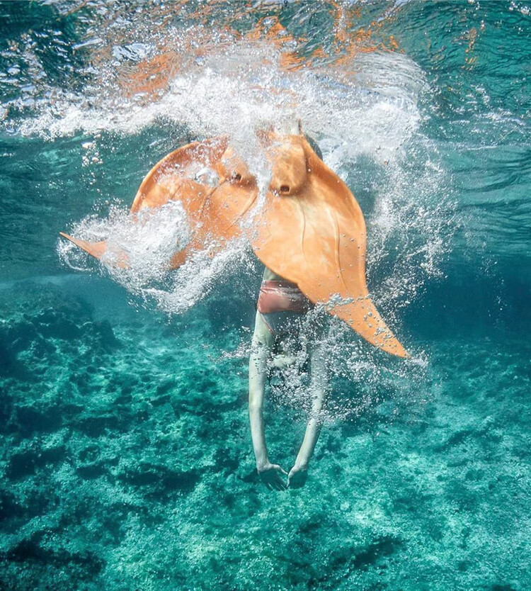 2022新款 美人鱼脚蹼澳洲mahina自由潜泳成人潜水单蹼人鱼尾训练儿童