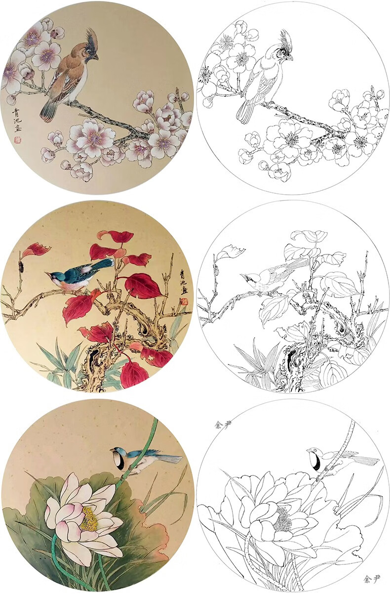 初学者工笔画团扇白描底稿24幅国画花鸟宫扇临摹线稿图样打印底稿 不