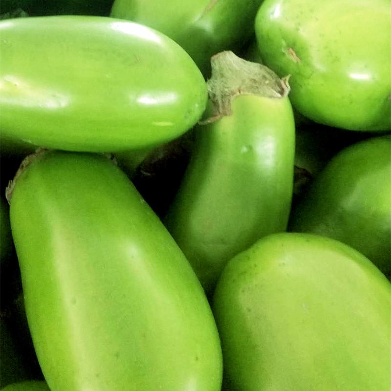 河南农家自种新鲜青茄子食用蔬菜绿茄子茄子圆茄子1500g
