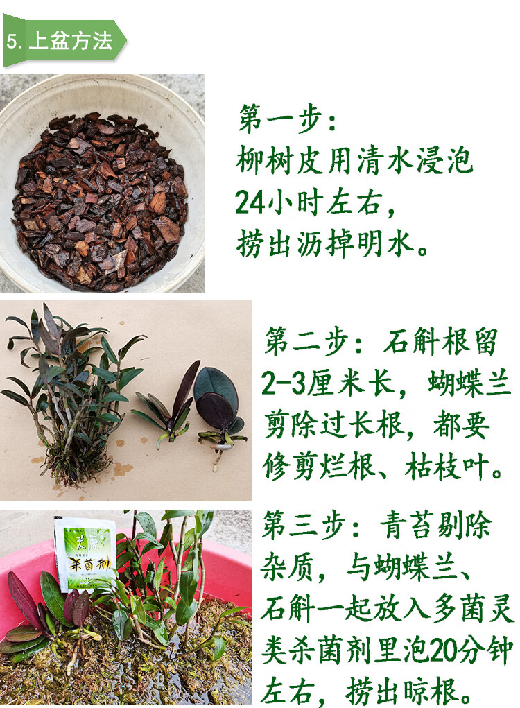 石斛兰蝴蝶兰专用土植料洋兰卡特兰营养土柳树皮疏松透气防止烂根