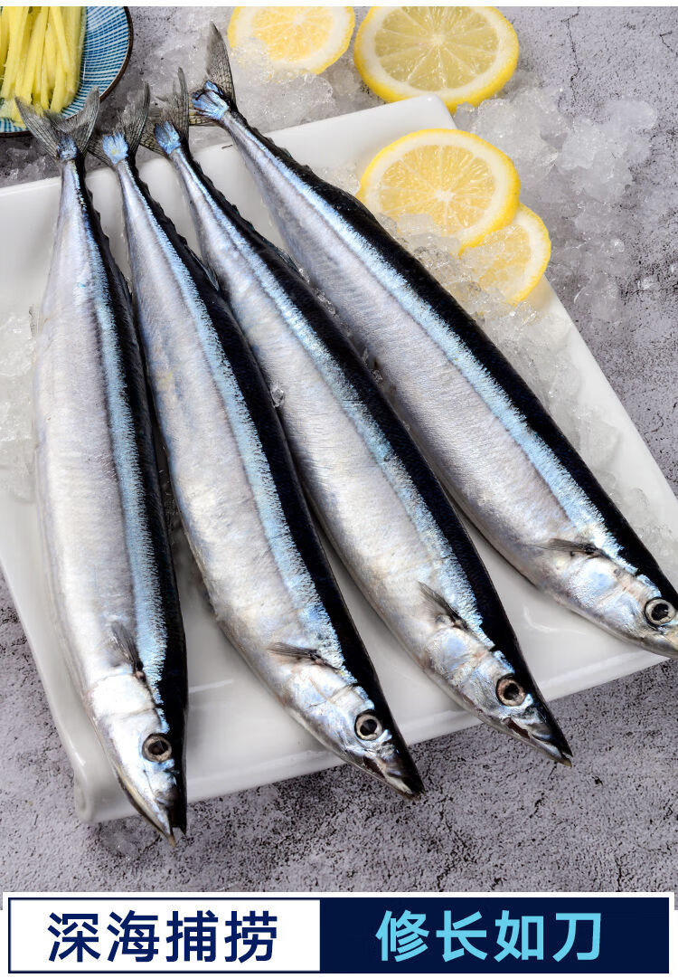 深海秋刀鱼新鲜活冷冻水产马鲛鱼海鲜日式烧烤食材4条斤5斤装精选秋